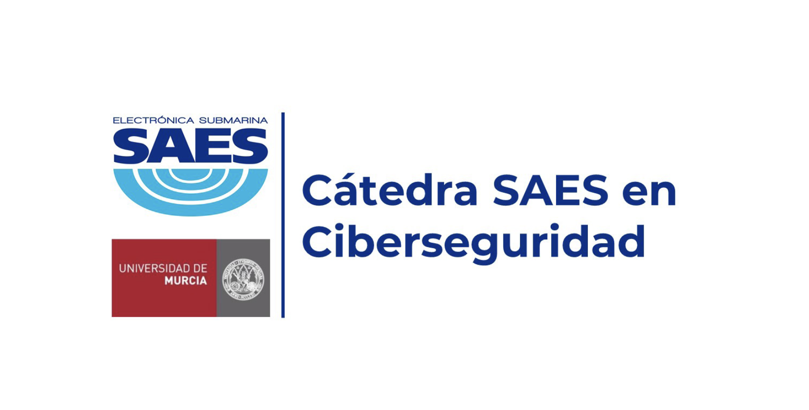 SAES Chair on Cybersecurity